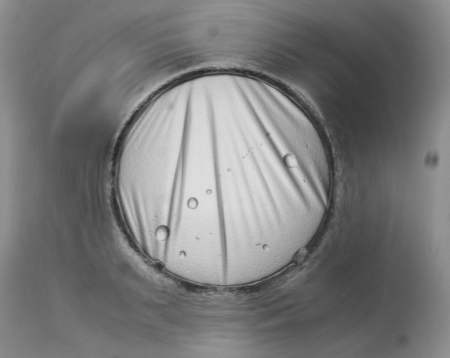 X0000114010895200910231812