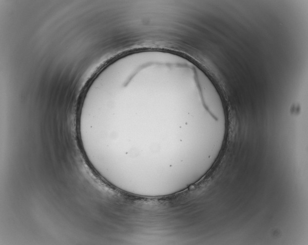 X0000114010896200910231812