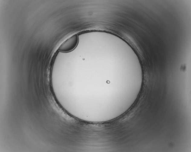 X0000114010900200910231812