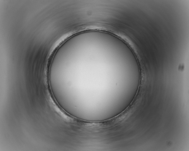 X0000114010902200910231812