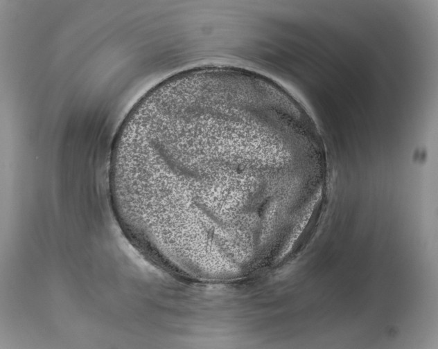 X0000114010903200910231812