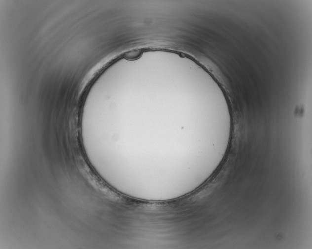 X0000114010904200910231812