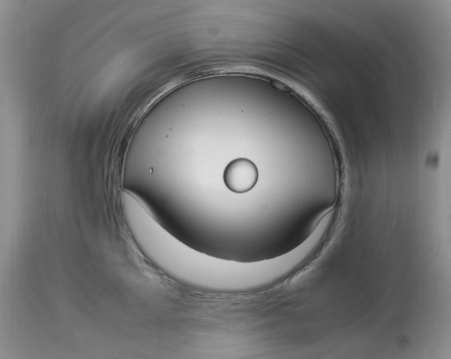 X0000114010905200910231812