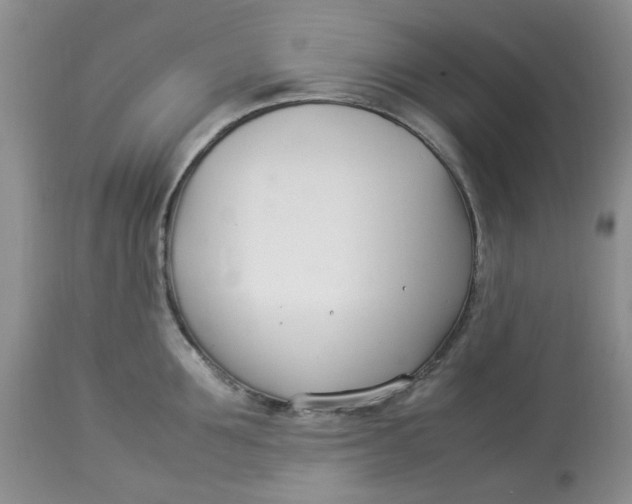 X0000114010907200910231812