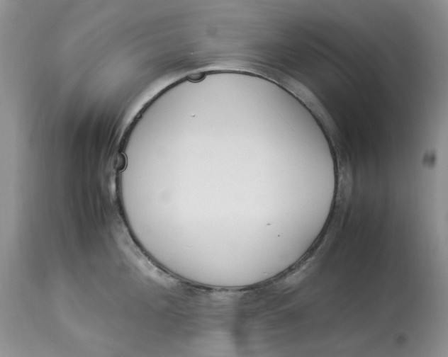 X0000114010908200910231812