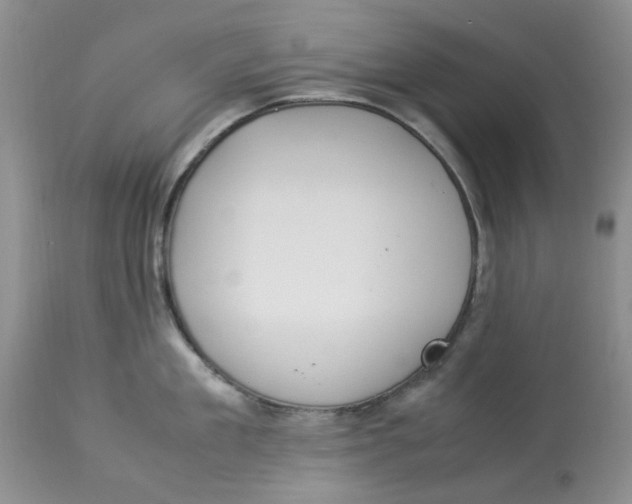 X0000114010909200910231812