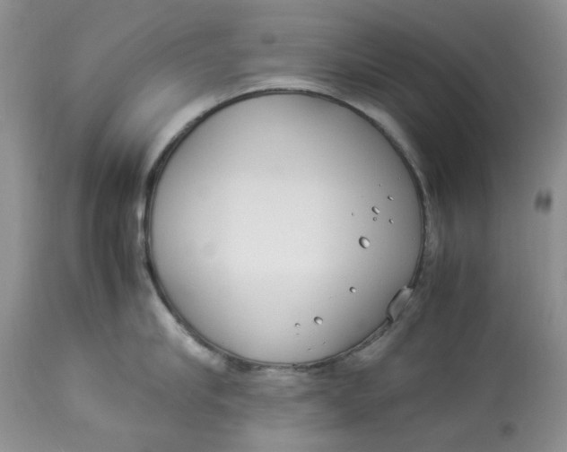 X0000114010910200910231812