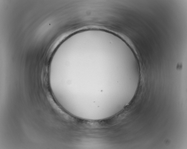 X0000114010911200910231812