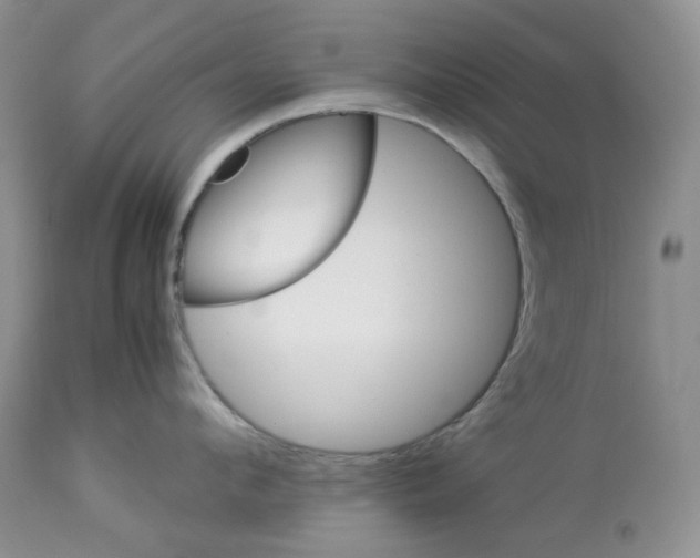 X0000114010912200910231812