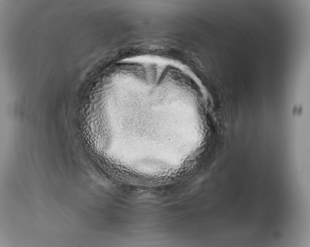 X0000114010913200910231811