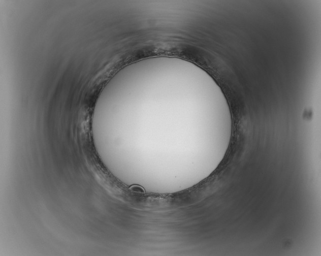 X0000114010914200910231811