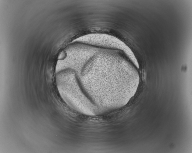 X0000114010915200910231811