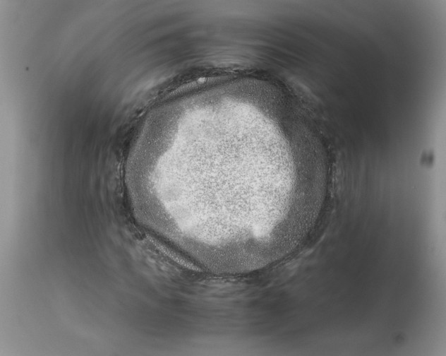 X0000114010917200910231811