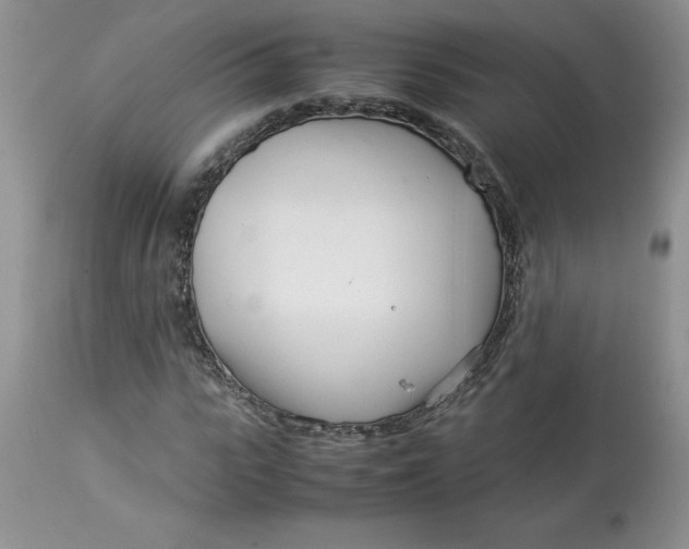 X0000114010919200910231811