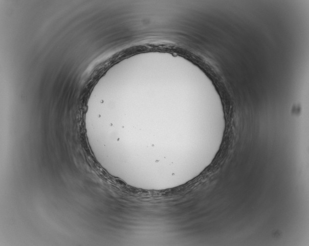 X0000114010920200910231811