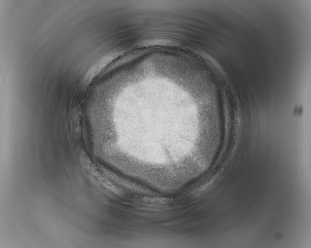 X0000114010921200910231811