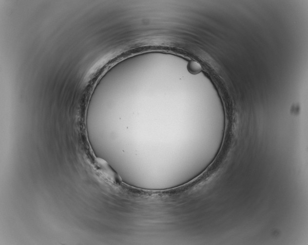 X0000114010922200910231811