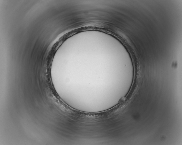 X0000114010923200910231811