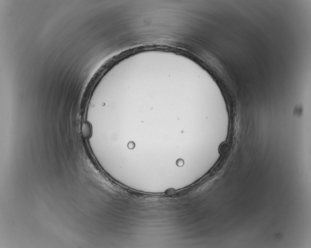 X0000114010924200910231811