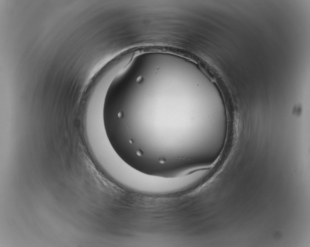 X0000114010925200910231811