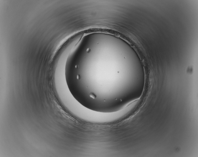 X0000114010926200910231811