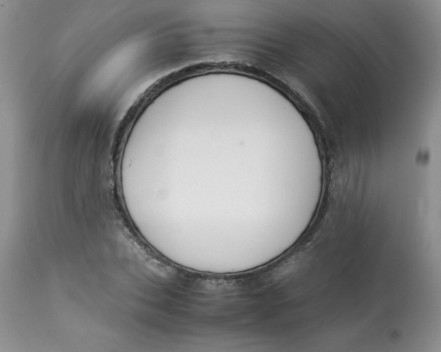 X0000114010927200910231811