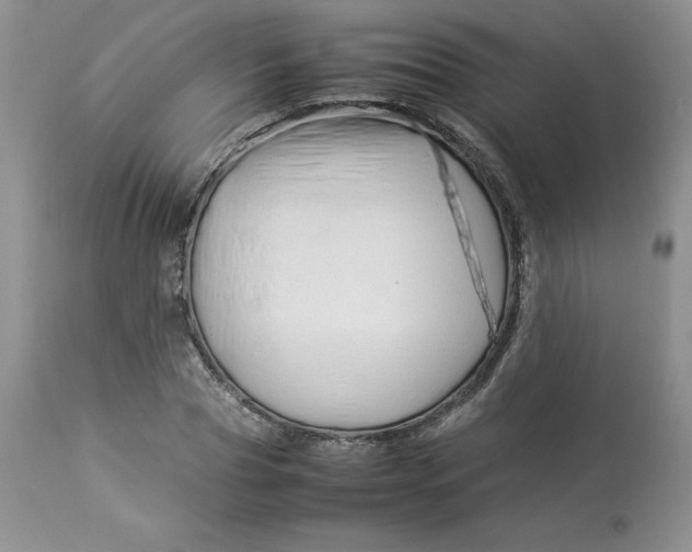 X0000114010929200910231811