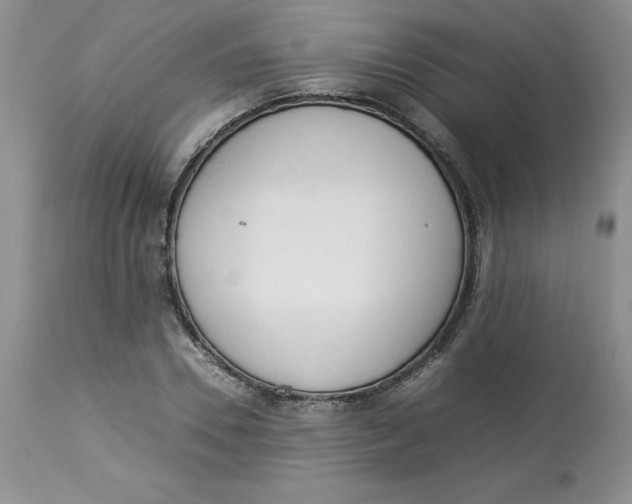 X0000114010930200910231811