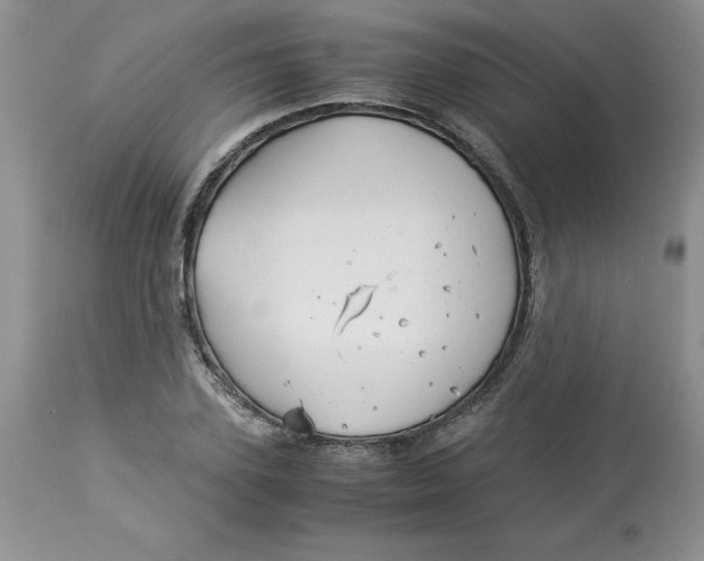 X0000114010931200910231811