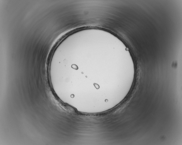 X0000114010932200910231811