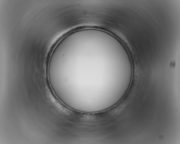 X0000114010935200910231812