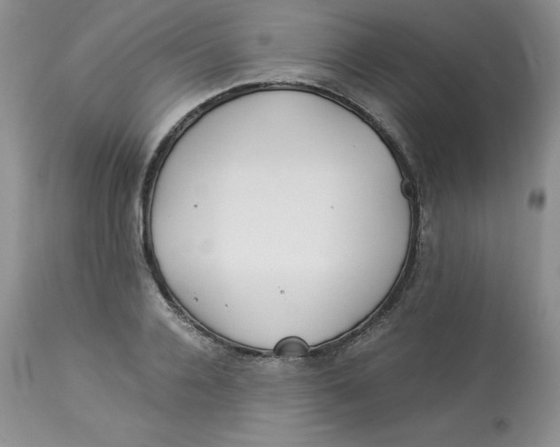 X0000114010936200910231812