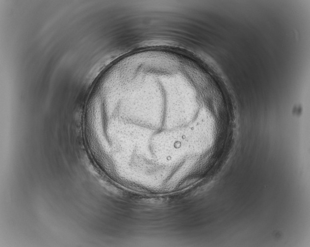 X0000114010937200910231812