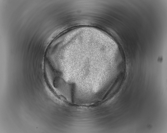 X0000114010938200910231812