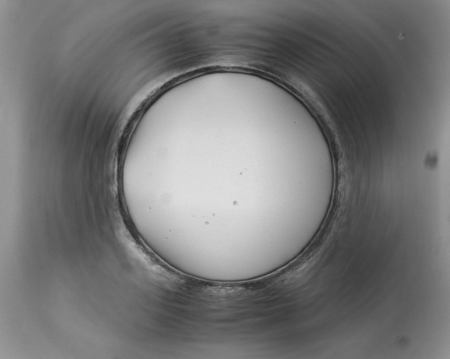 X0000114010939200910231812