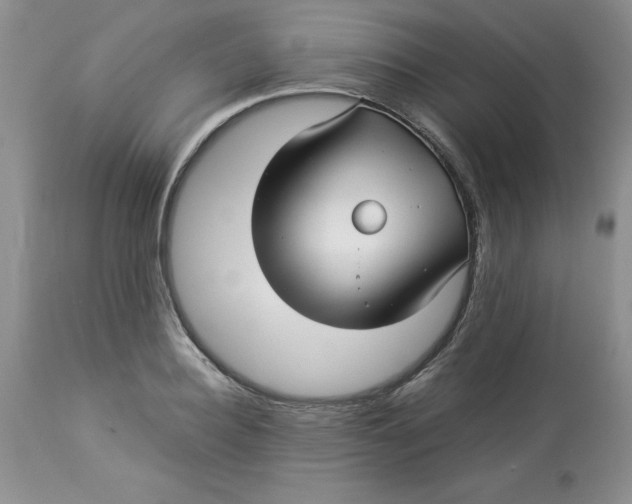 X0000114010940200910231812