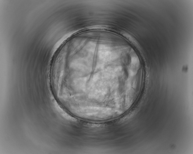 X0000114010941200910231812