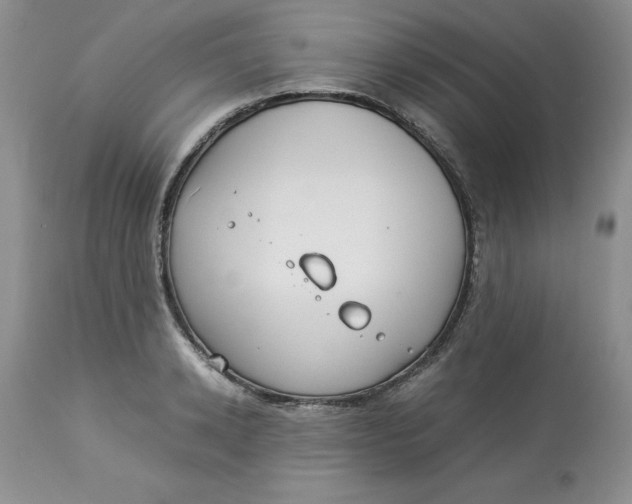 X0000114010942200910231812