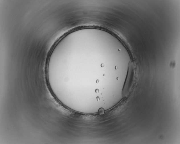 X0000114010943200910231812