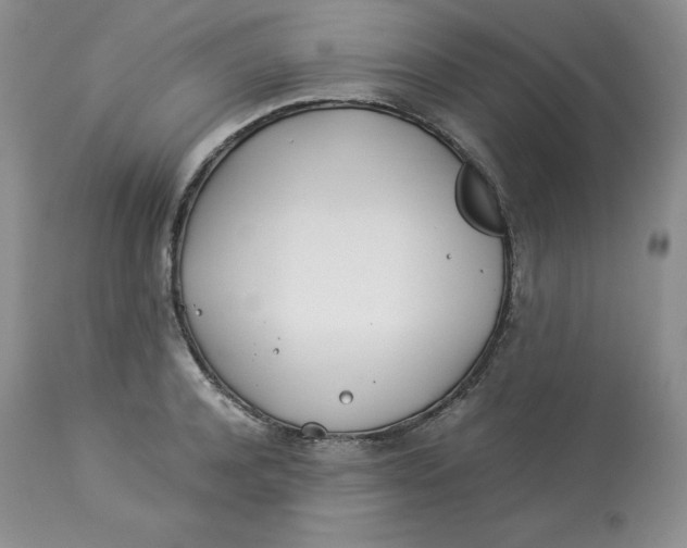 X0000114010944200910231812