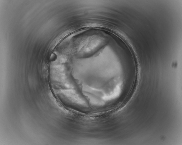 X0000114010945200910231812