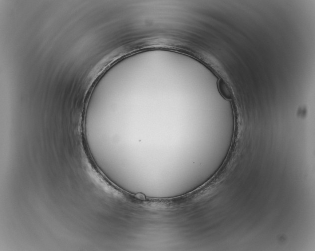 X0000114010946200910231812