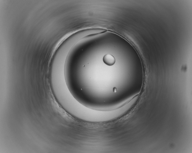 X0000114010948200910231812