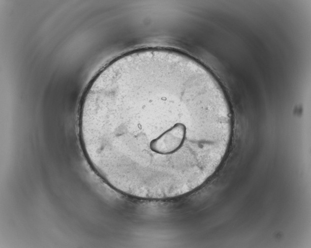 X0000114010950200910231812