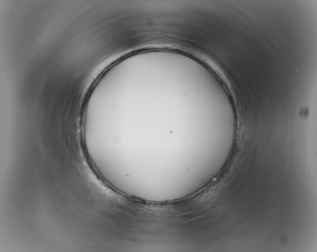 X0000114010951200910231812