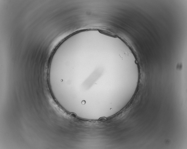 X0000114010952200910231812