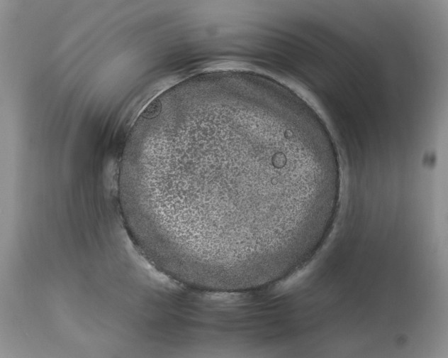 X0000114010953200910231812