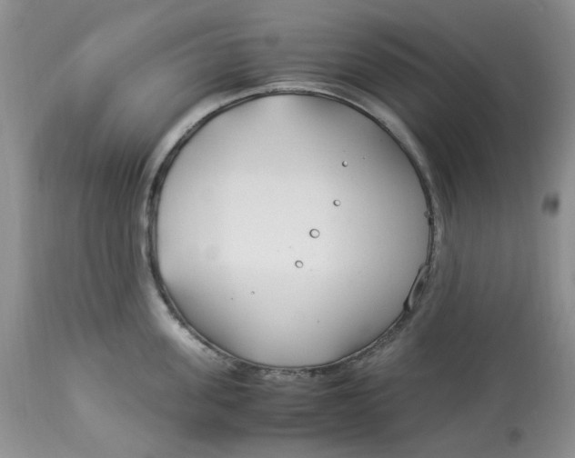 X0000114010955200910231812