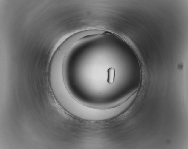 X0000114010956200910231812