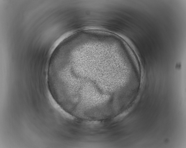 X0000114010957200910231812